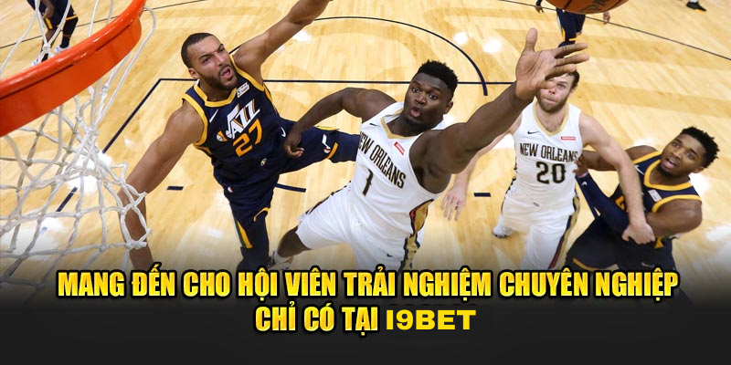 Mang đến cho hội viên trải nghiệm chuyên nghiệp chỉ có tại i9BET